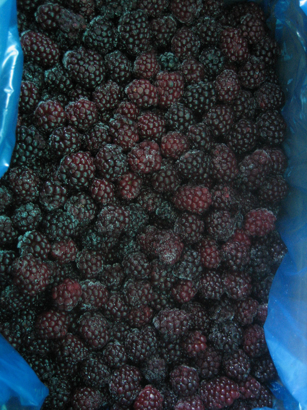 Blackberry